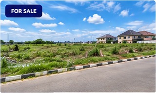 Commercial Plot